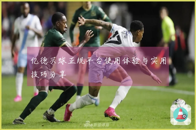 亿德买球正规平台使用体验与实用技巧分享