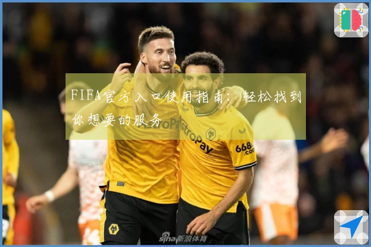 FIFA官方入口使用指南：轻松找到你想要的服务