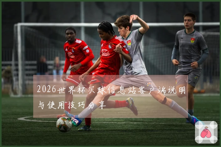 2026世界杯买球信息站客户端说明与使用技巧分享