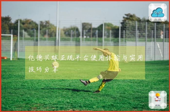 亿德买球正规平台使用体验与实用技巧分享