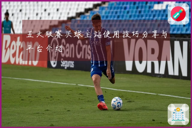 五大联赛买球主站使用技巧分享与平台介绍