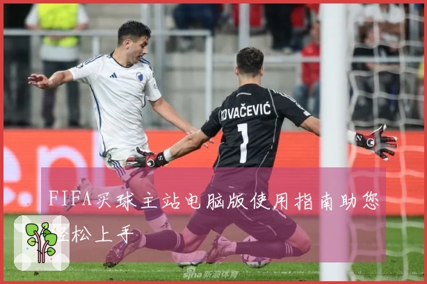 FIFA买球主站电脑版使用指南助您轻松上手