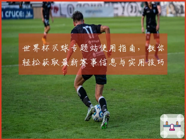 世界杯买球专题站使用指南，教你轻松获取最新赛事信息与实用技巧