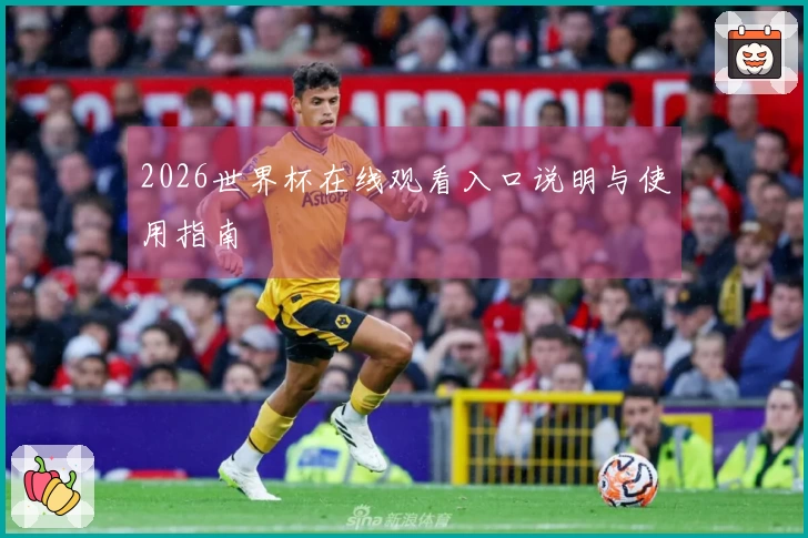 2026世界杯在线观看入口说明与使用指南