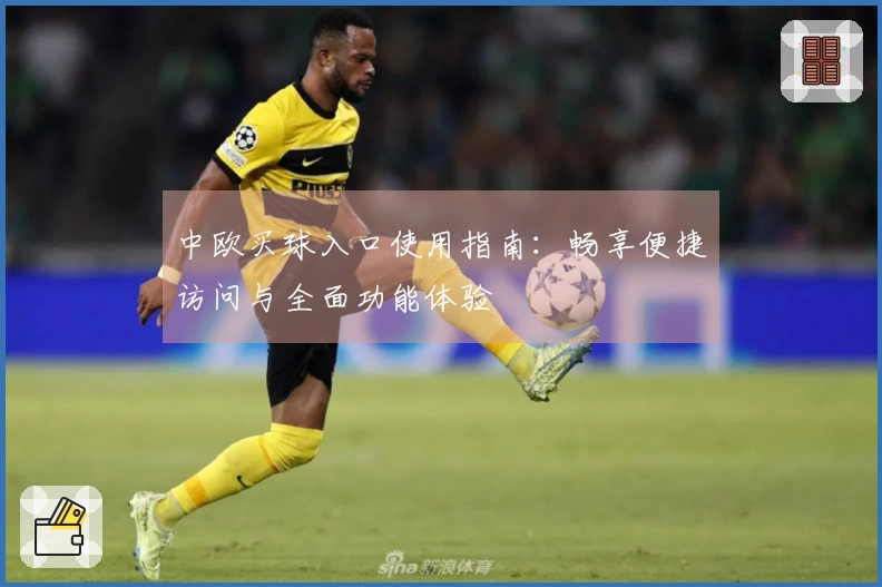 中欧买球入口使用指南：畅享便捷访问与全面功能体验